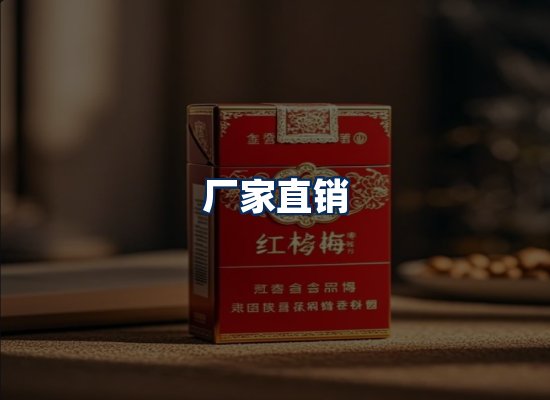 专业团队办公环境